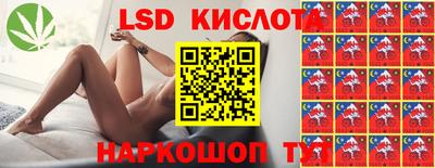 гидра Кандалакша
