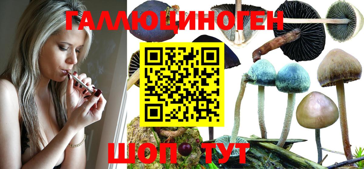 Псилоцибиновые грибы Magic Shrooms  Вход с VPN  Коммунар 