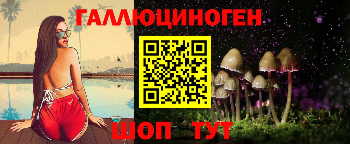 Псилоцибиновые грибы прущие грибы Коммунар